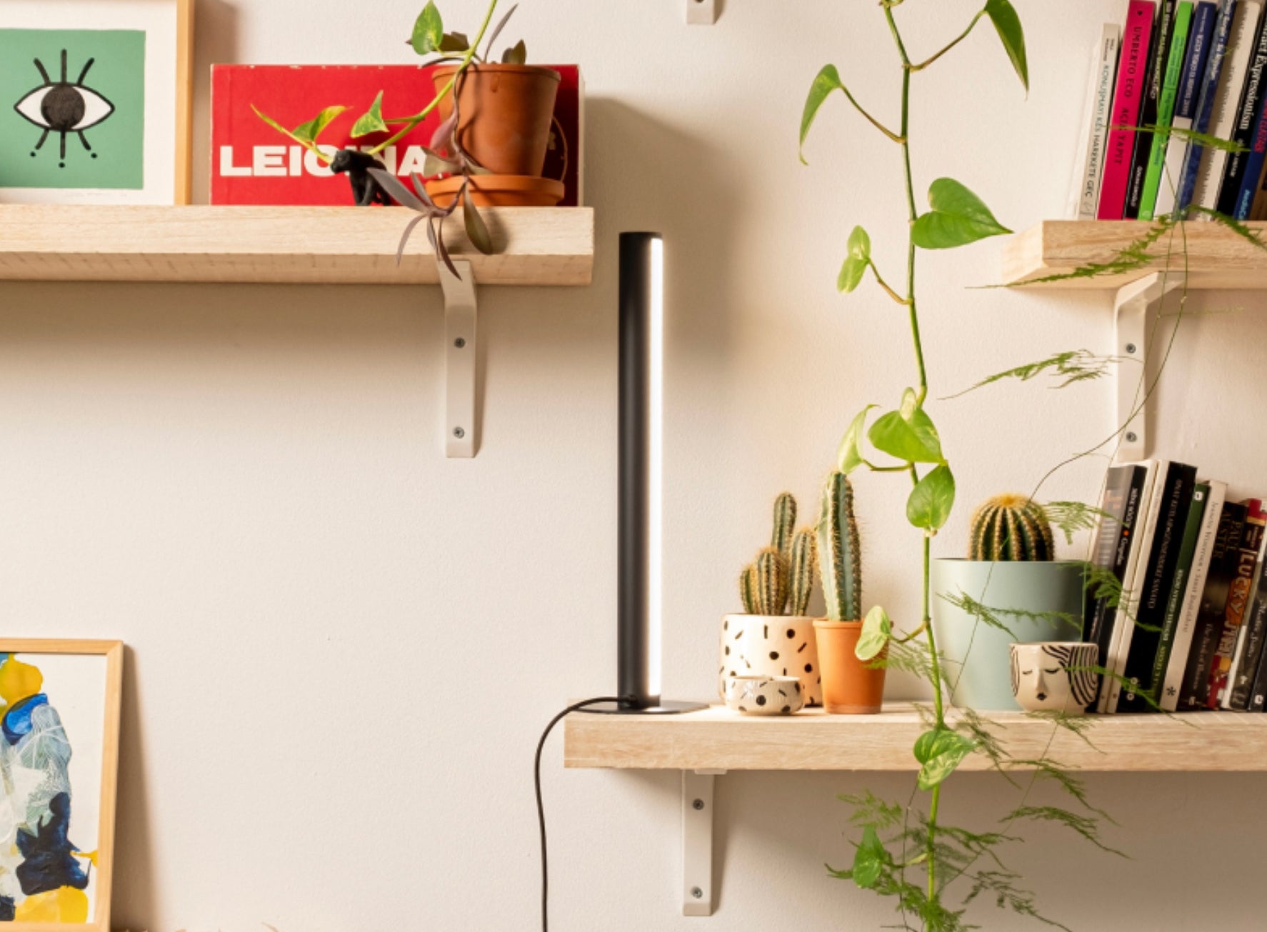 Zimmerpflanzen mit Pflanzenlicht Überwintern