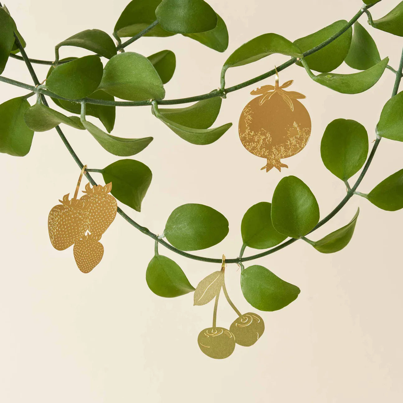 Frutta carina