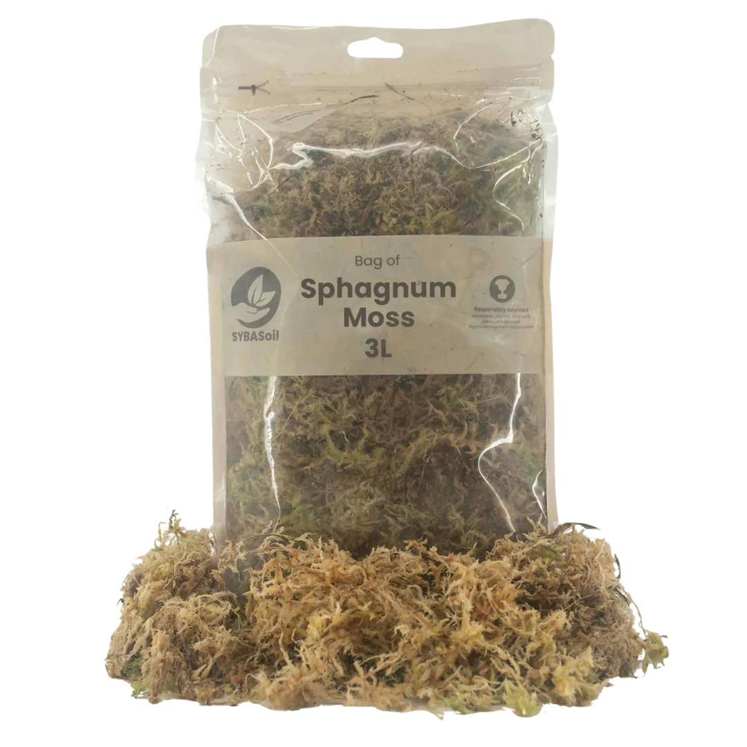 Premium Sphagnum Moos 3L