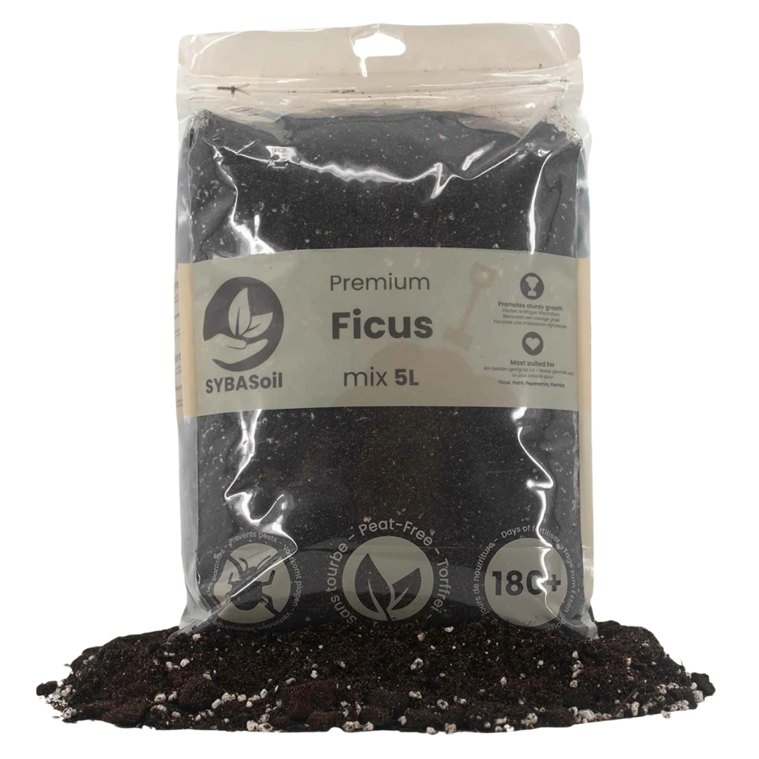 Premium Ficus Mix 5L