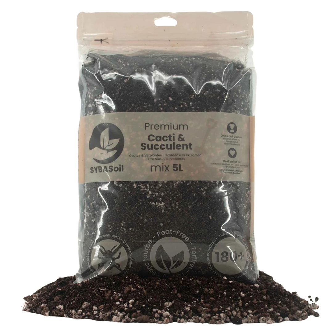 Premium Kakteen & Sukkulenten Mix 5L