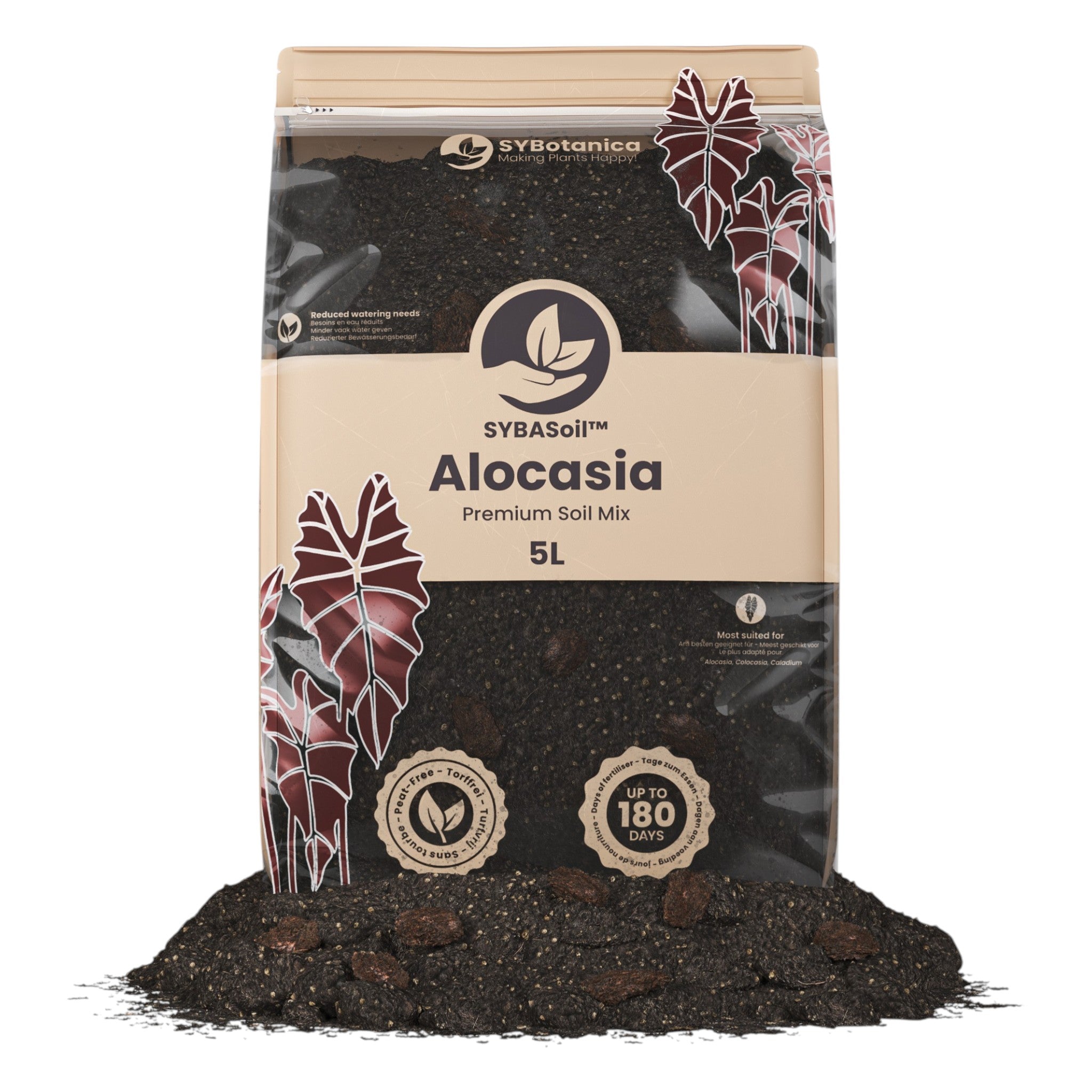 Premium Alocasia Mix 5L