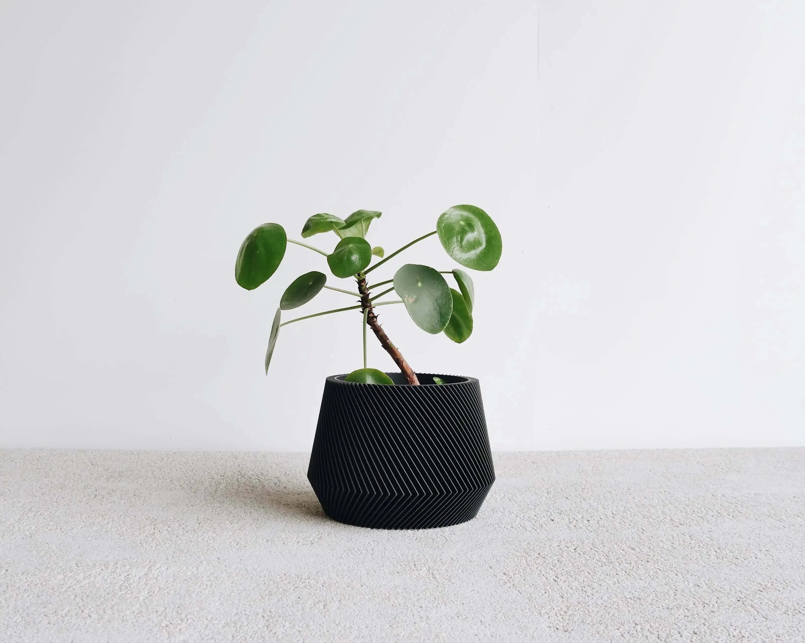 Pot à plantes Oslo XL