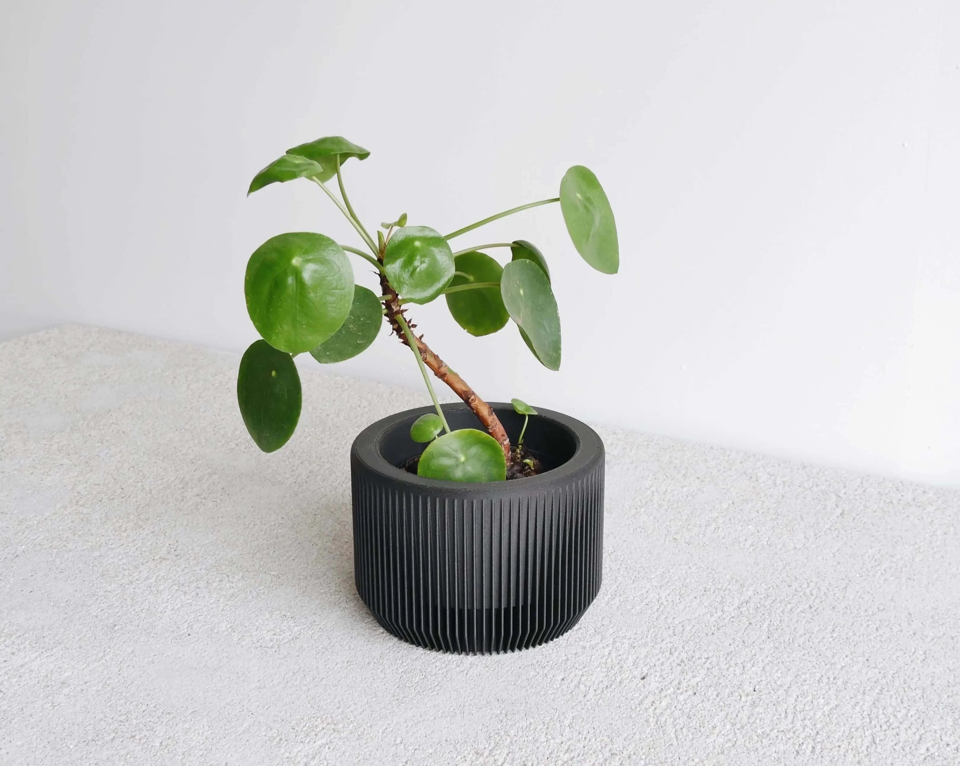 Pot pour plantes Praha Large