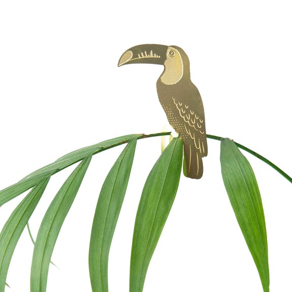 Animali vegetali