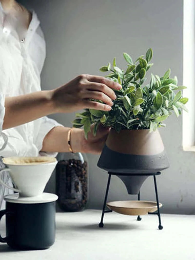 Planteur "Succulent" avec drainage Ash Black
