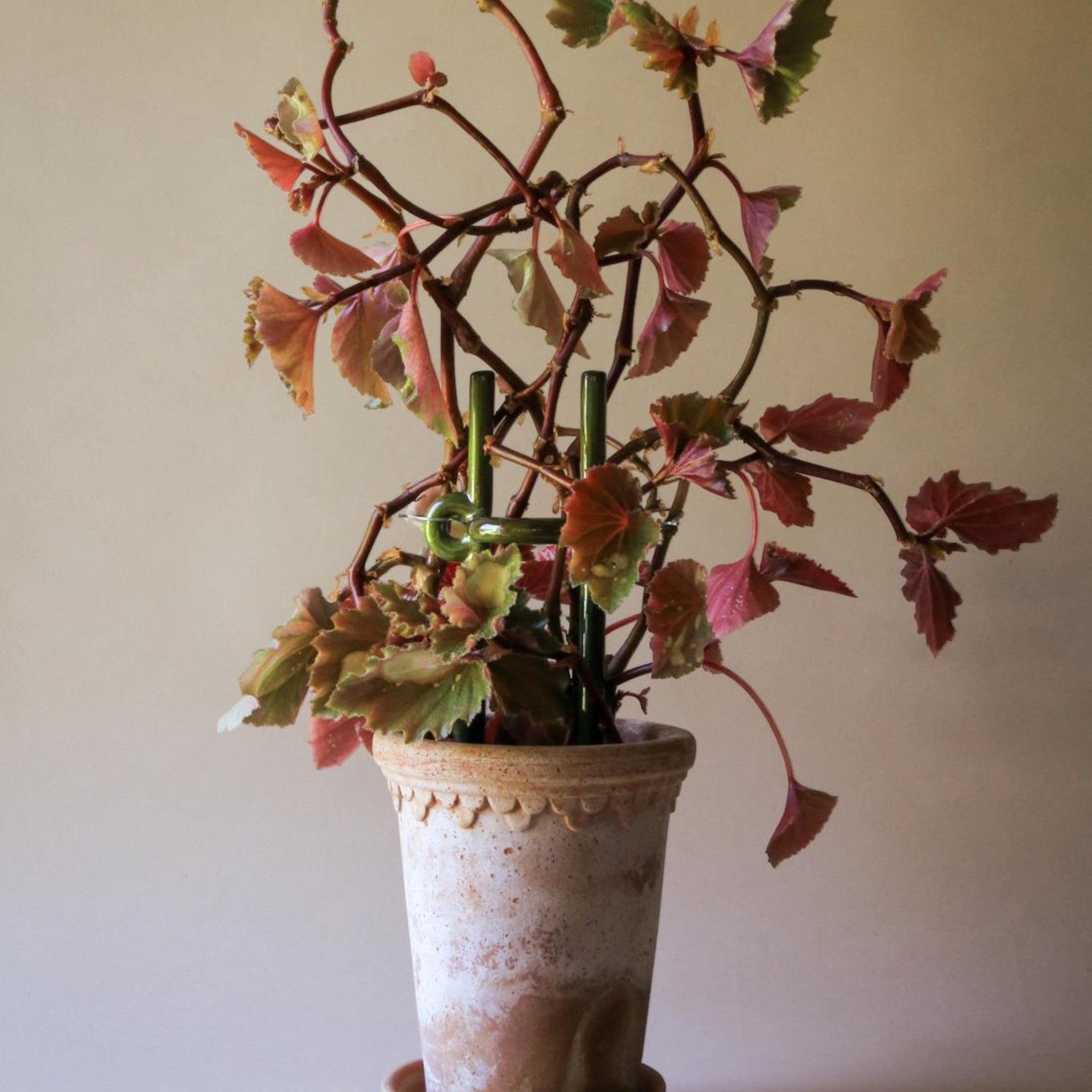 Folk plant support Hinto