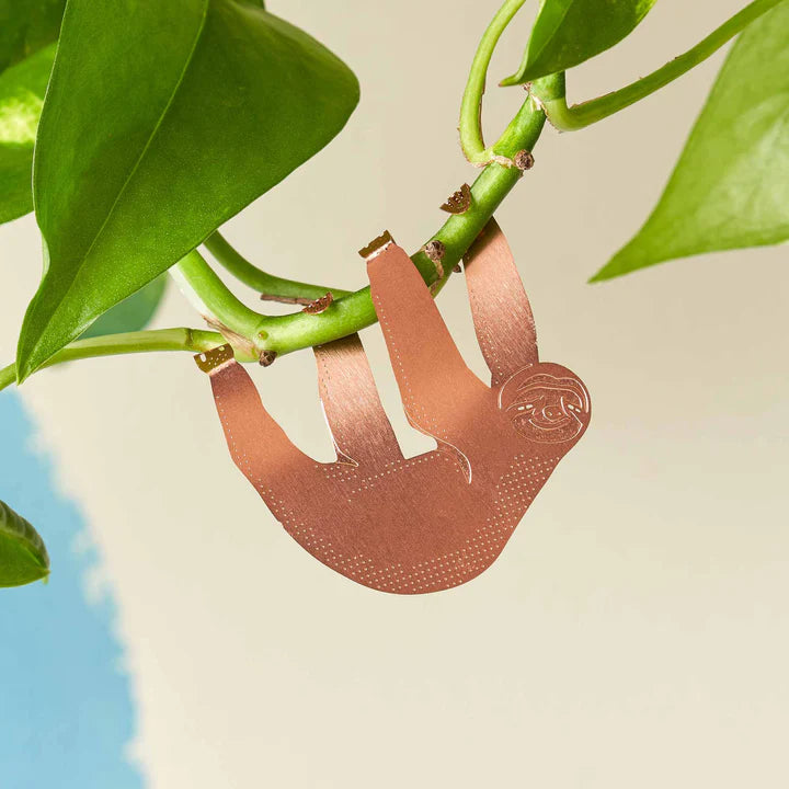 plant hanging animals Plant Animals