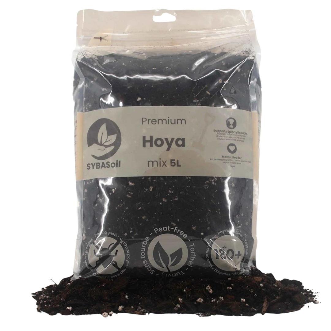 Premium Hoya Mix 5L
