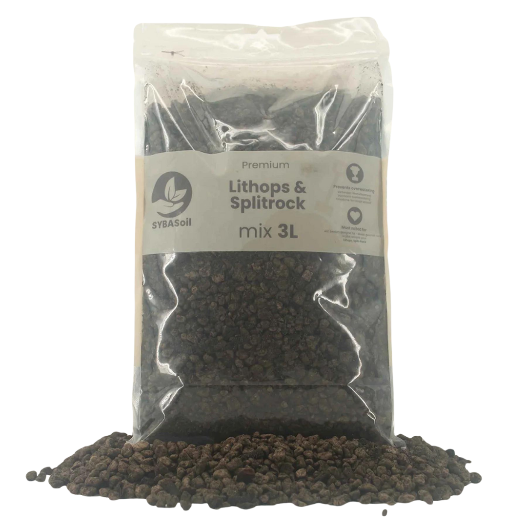 Premium Lithops & Split Rock Mix 3L