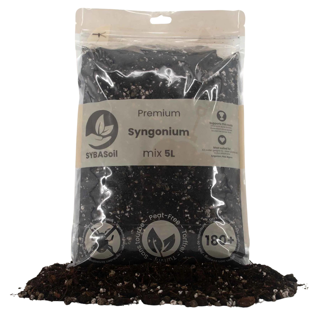 Premium Syngonium Mix 5L