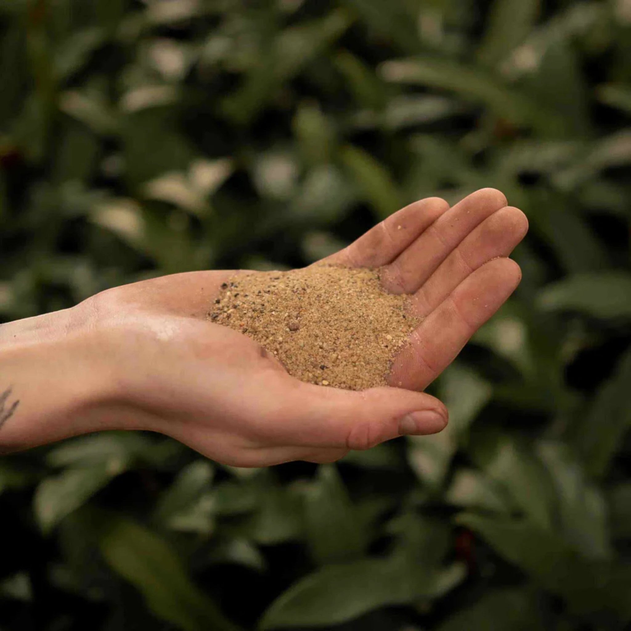Horticultural Sand 3L