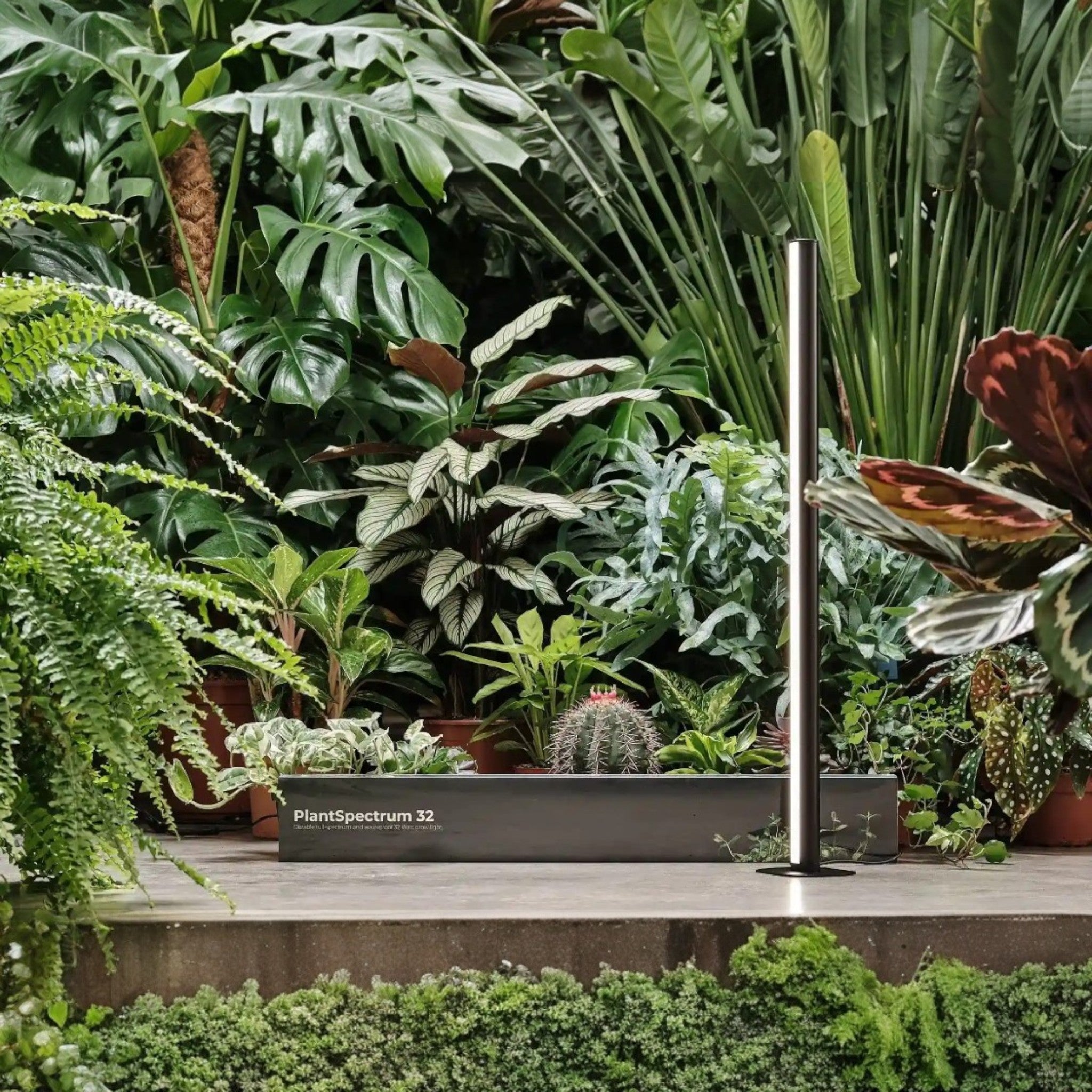 Lumière pour plantes PlantSpectrum