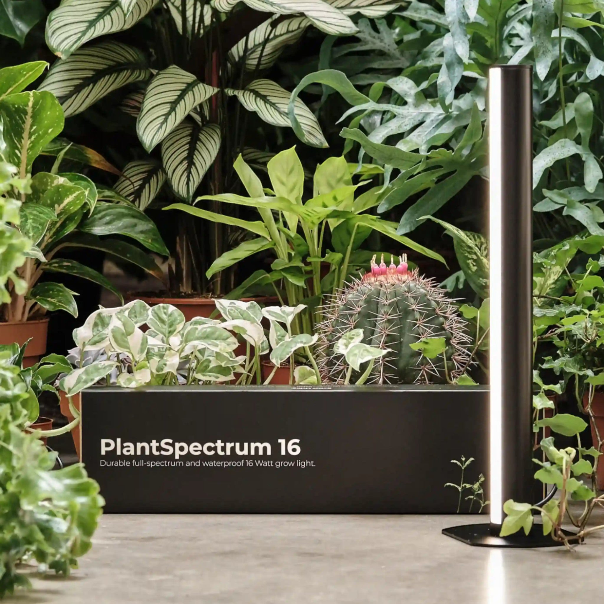Lumière pour plantes PlantSpectrum