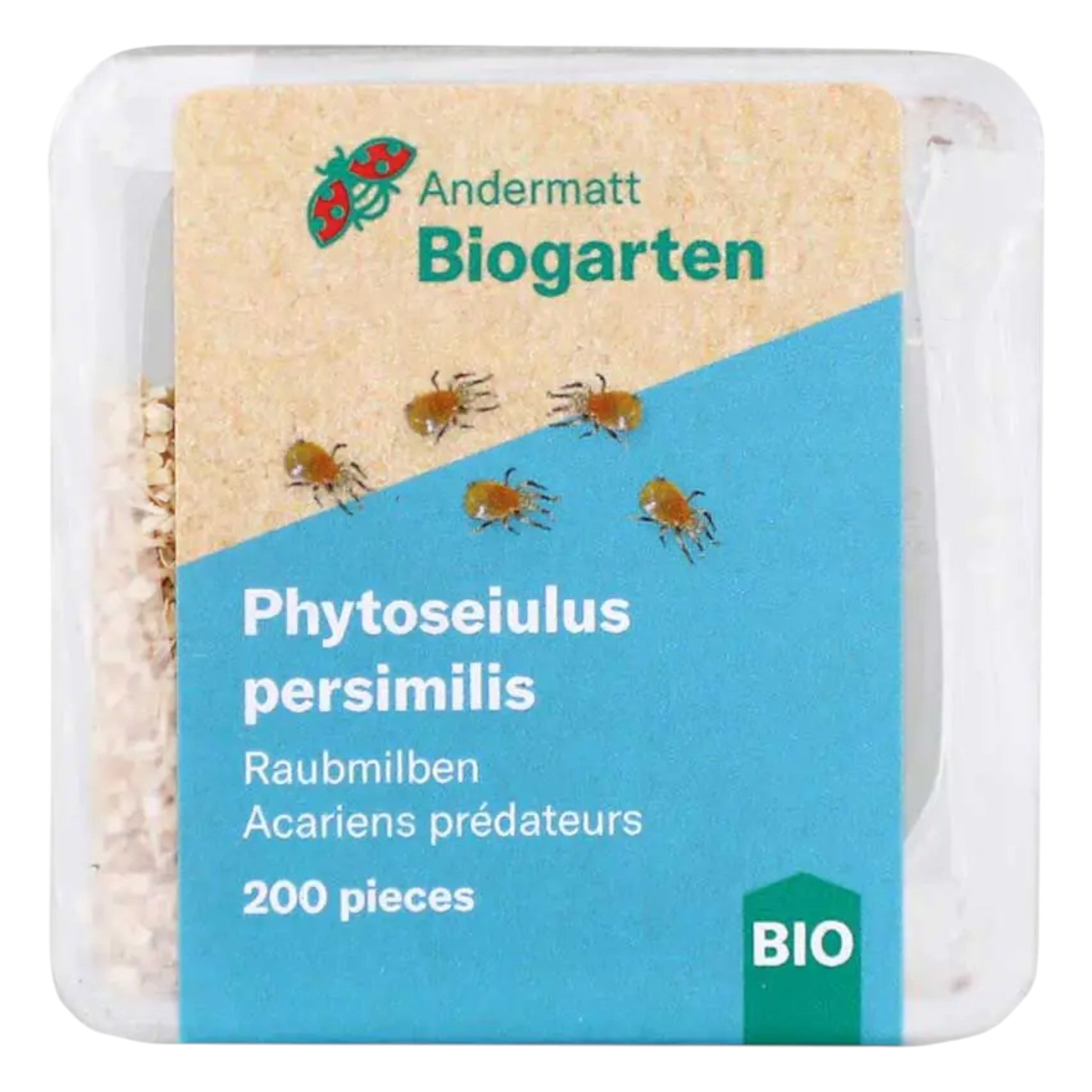 Phytoseiulus Raubmilben gegen Spinnmilben