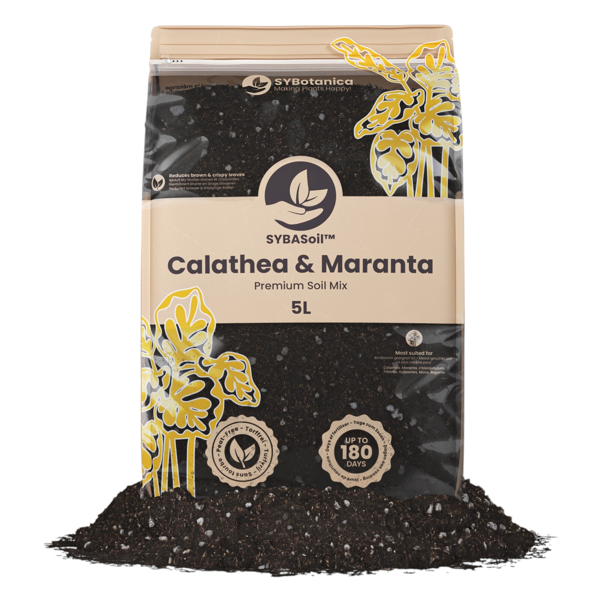 Premium Calathea & Maranta Mix 5L