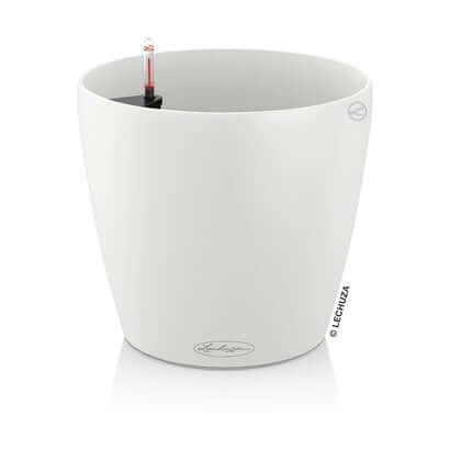 LECHUZA CLASSICO Color 18 all in one