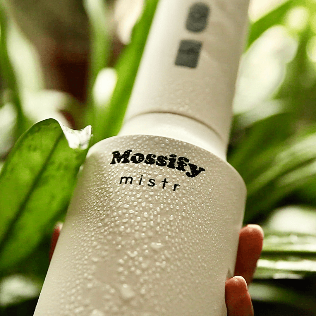 Sprayer Mist Plant