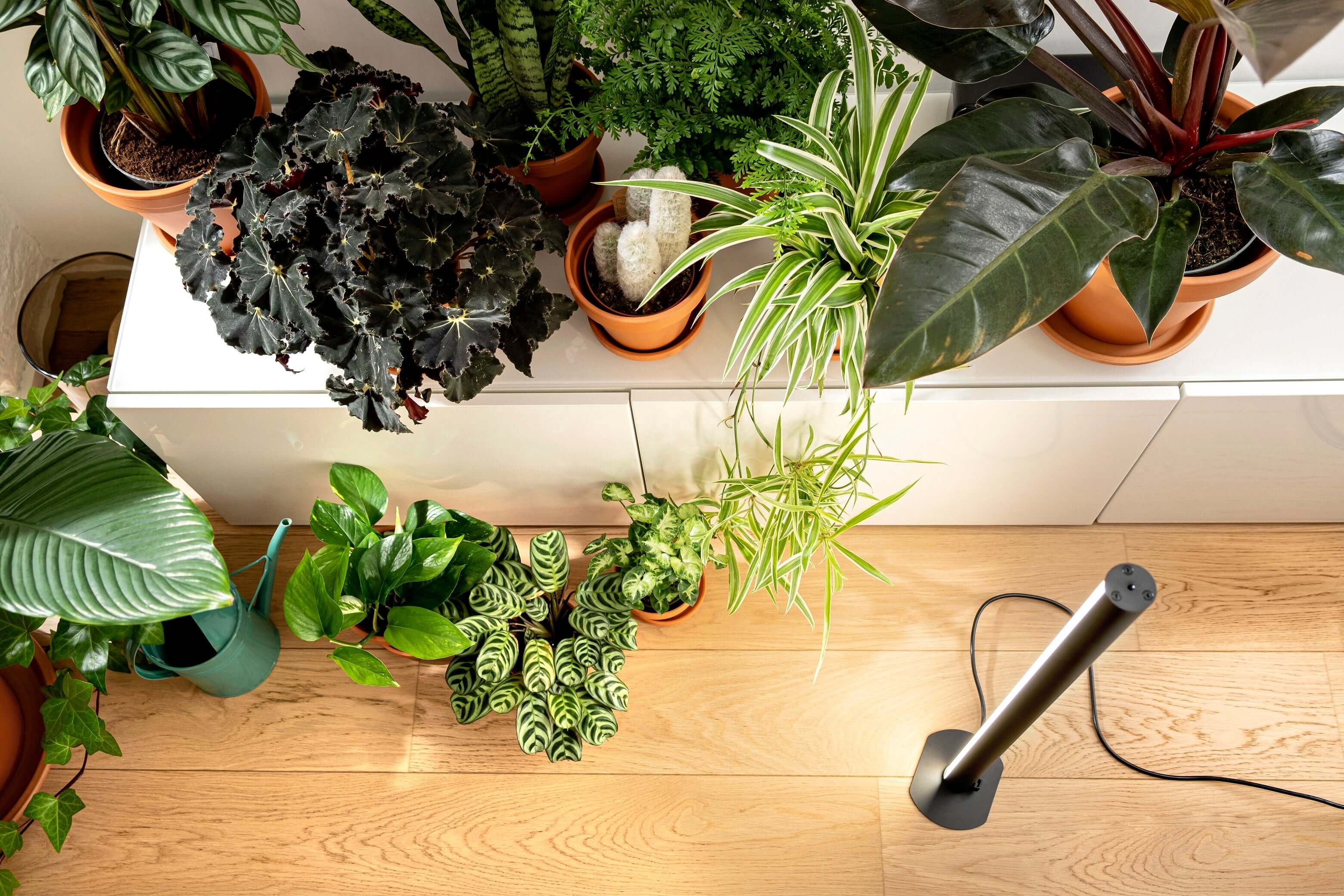 Pflanzenlicht PlantSpectrum