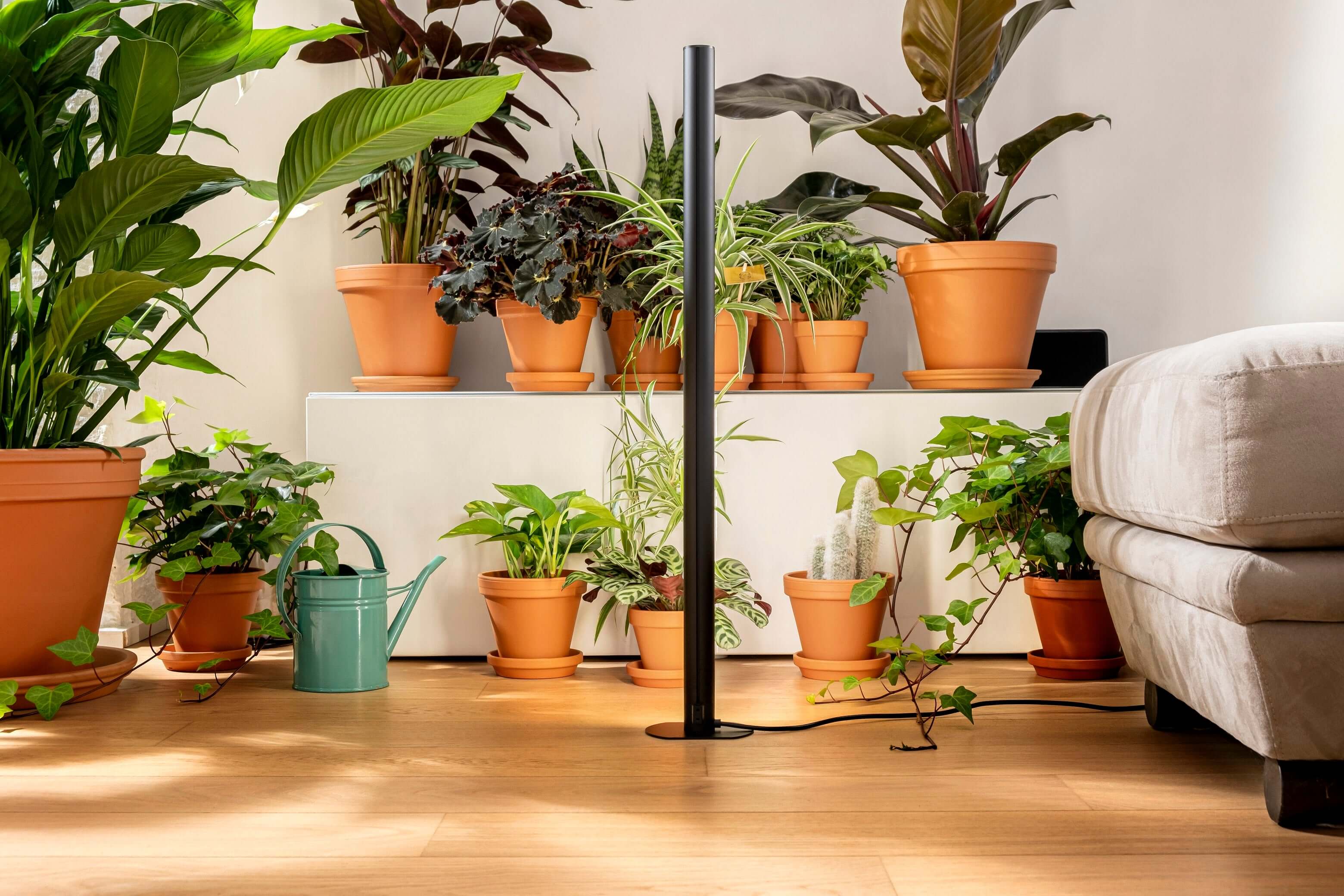 Pflanzenlicht PlantSpectrum