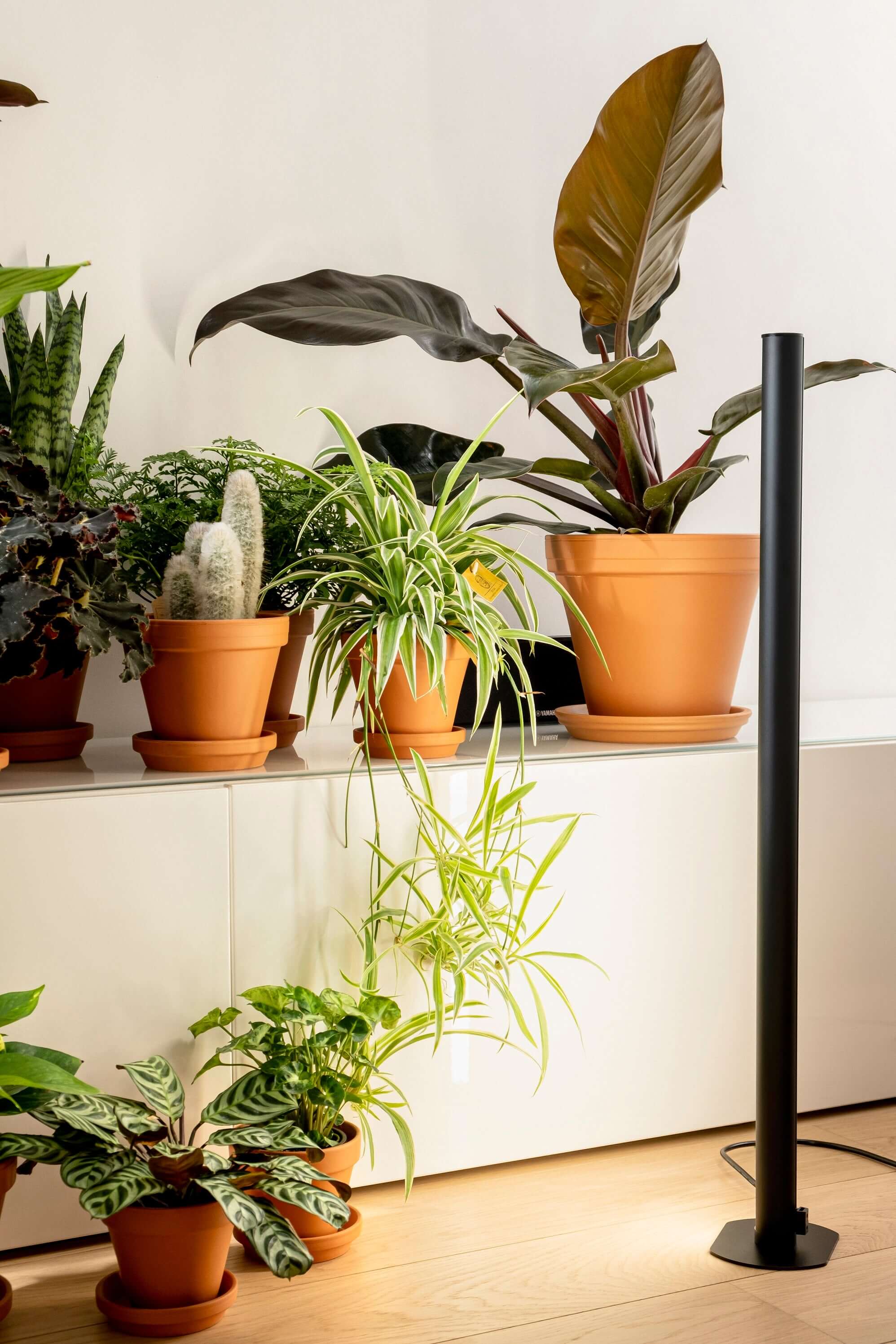 Pflanzenlicht PlantSpectrum