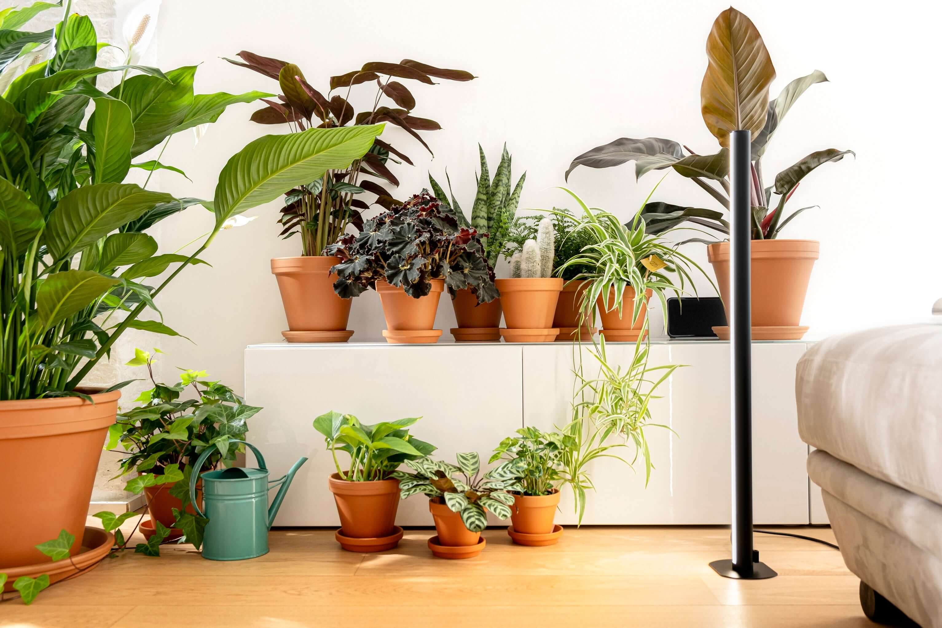 Pflanzenlicht PlantSpectrum
