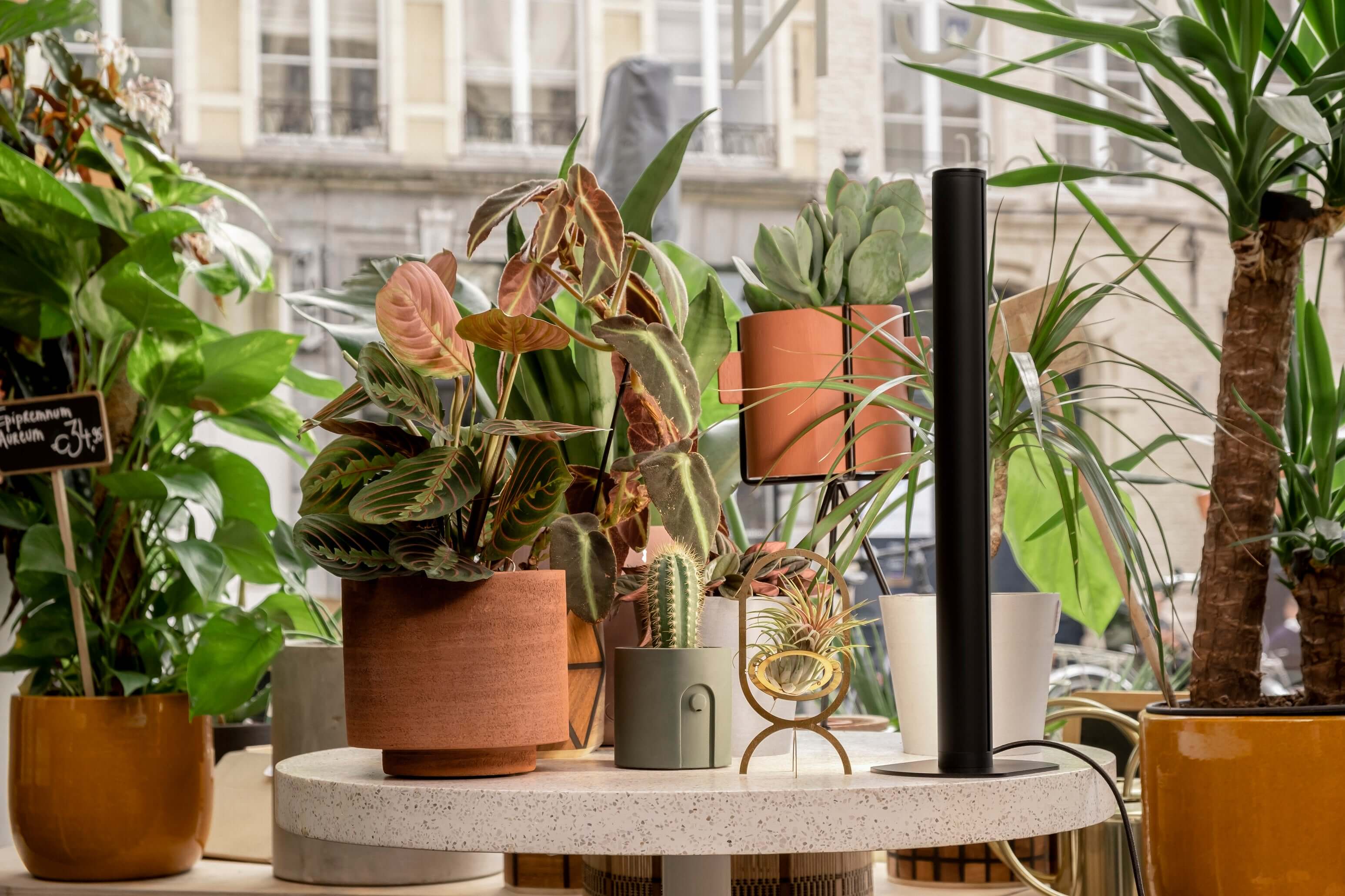 Pflanzenlicht PlantSpectrum