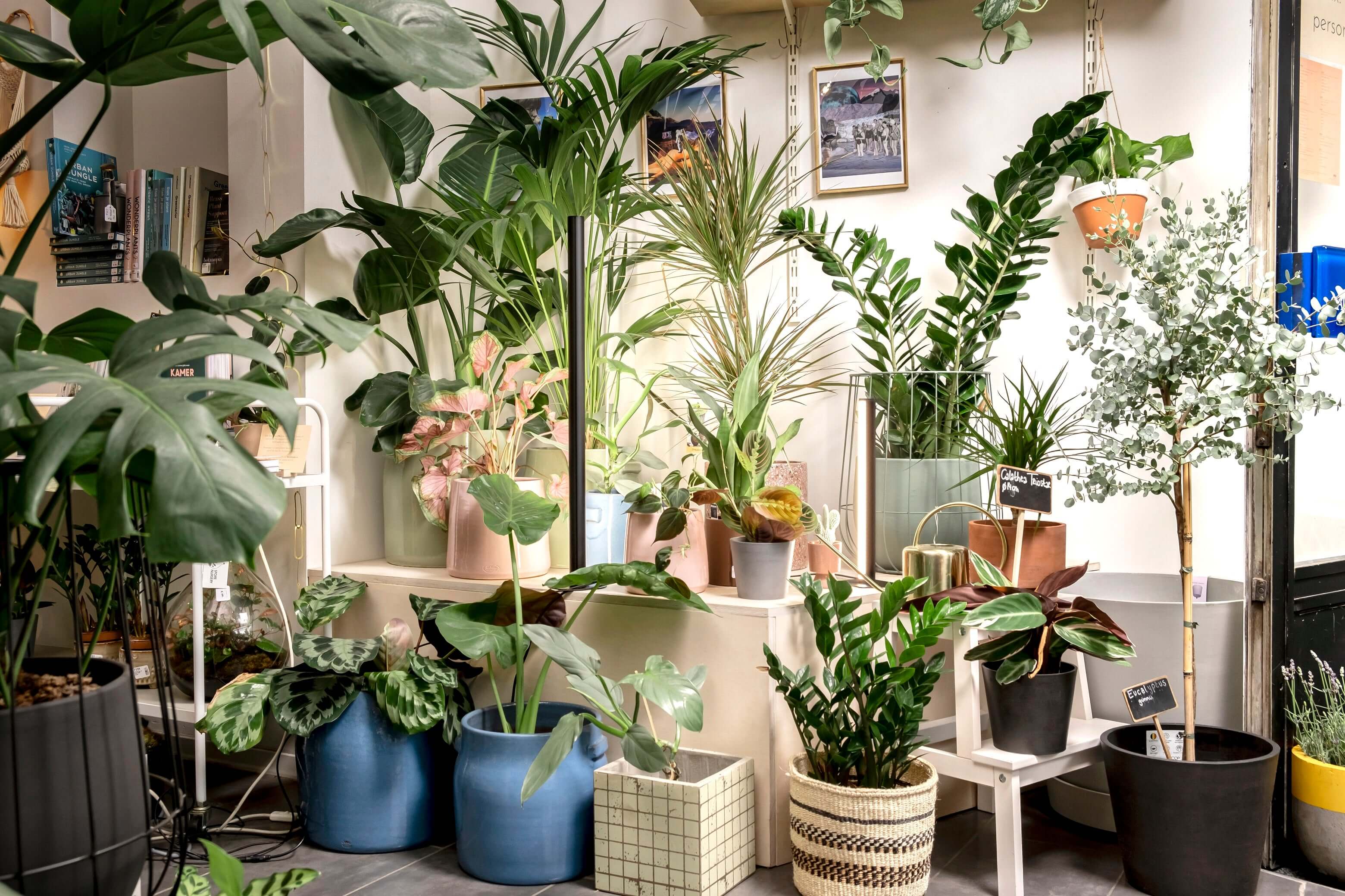 Pflanzenlicht PlantSpectrum