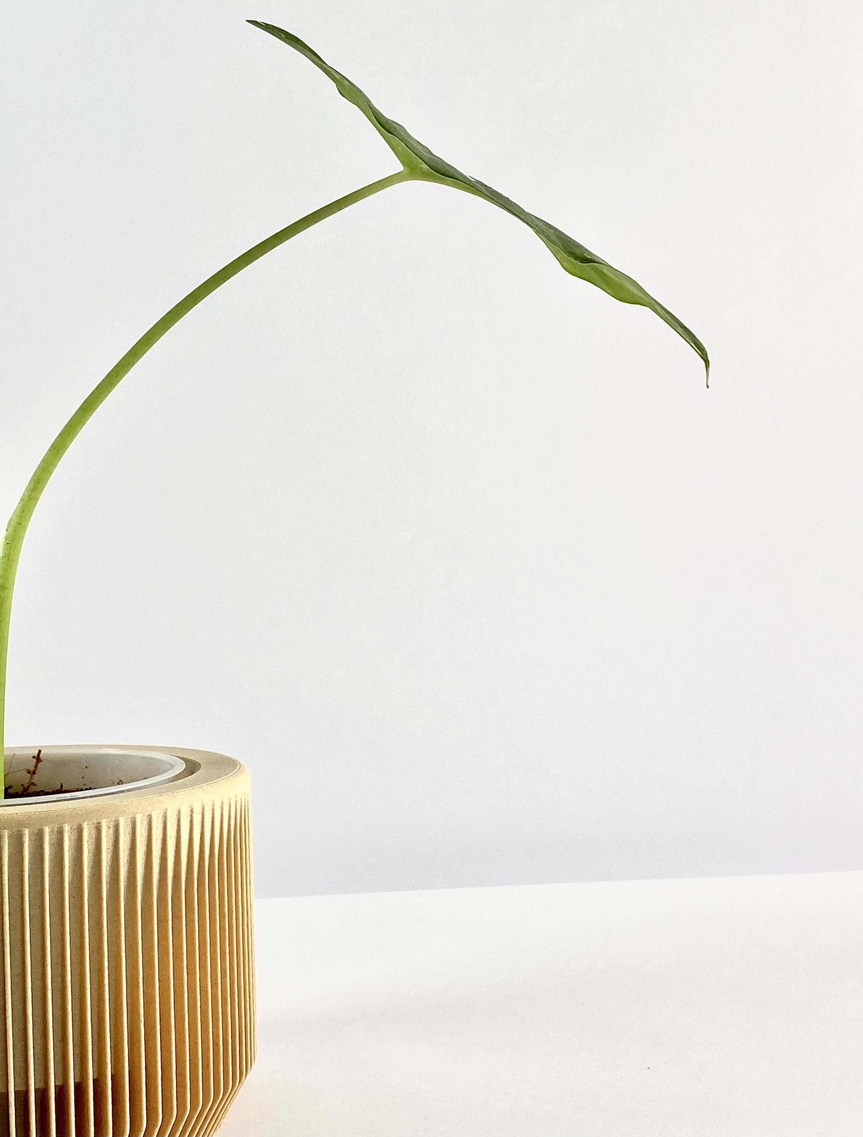 Pot pour plantes Praha Medium