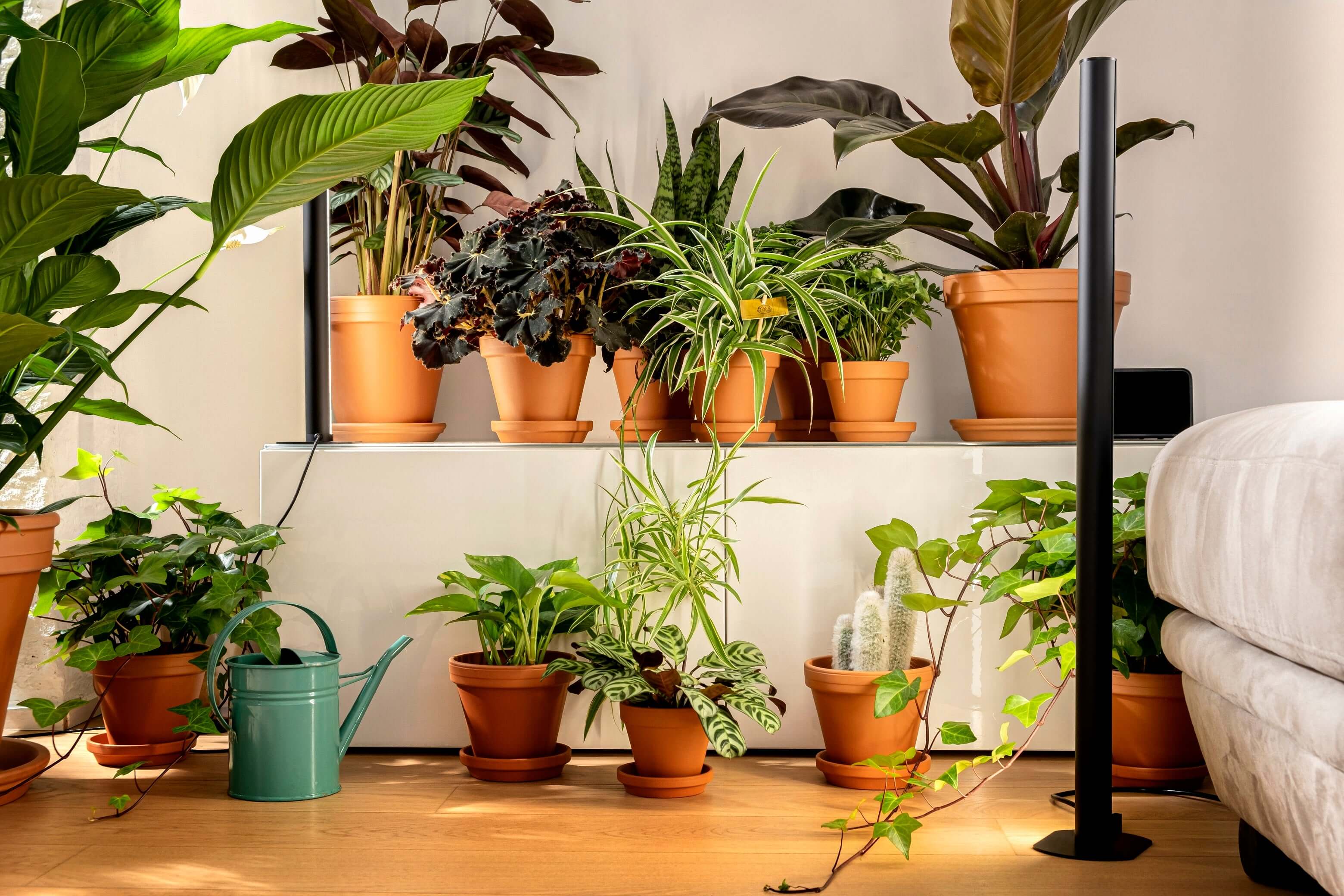 Pflanzenlicht PlantSpectrum