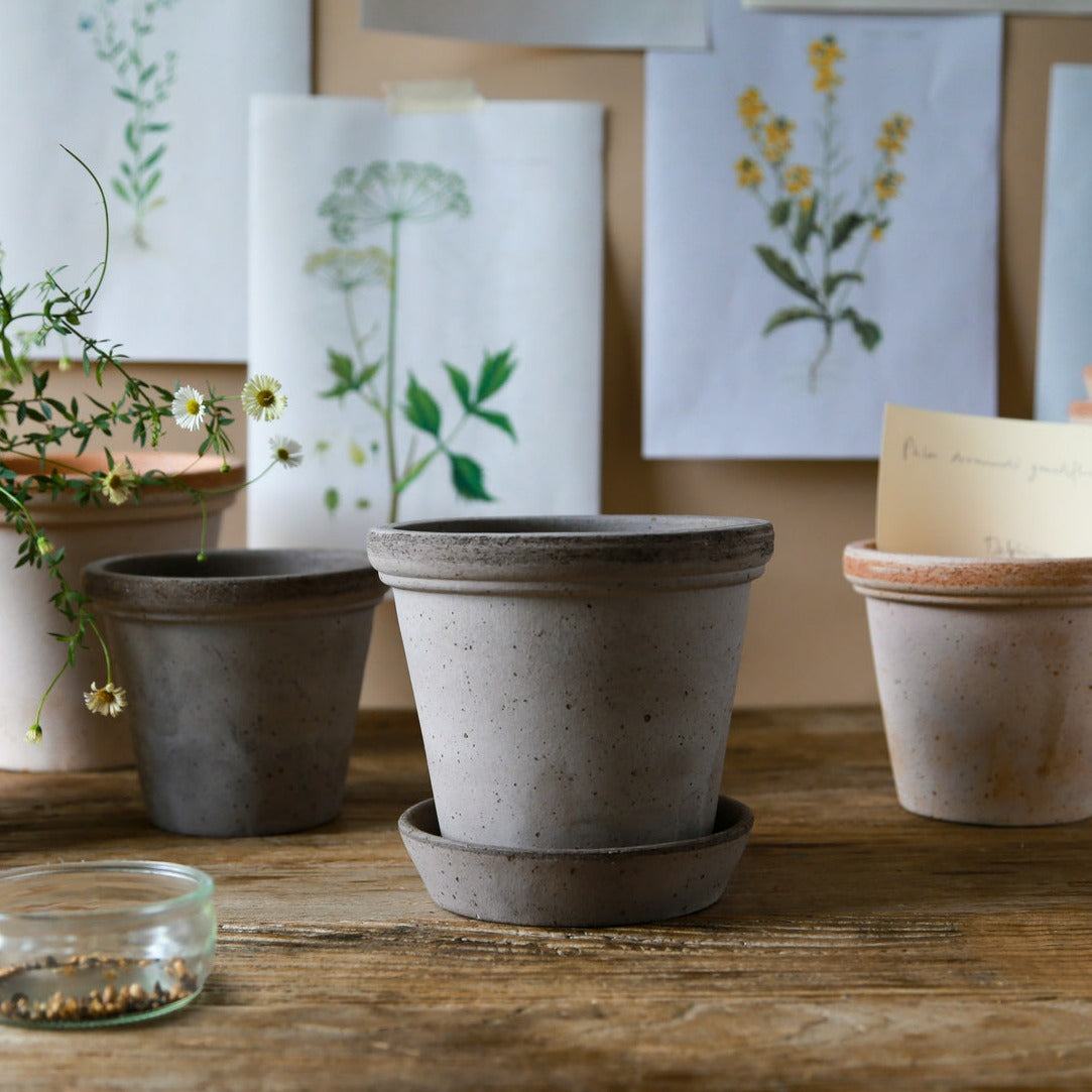 Flora plant pot Ø 10 cm
