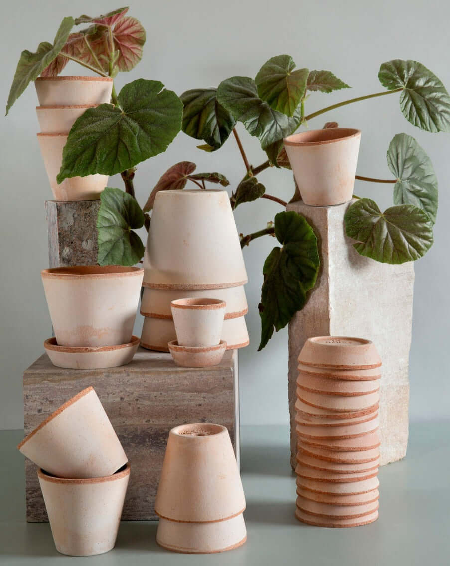 Pot pour plantes Julie Ø 14 cm