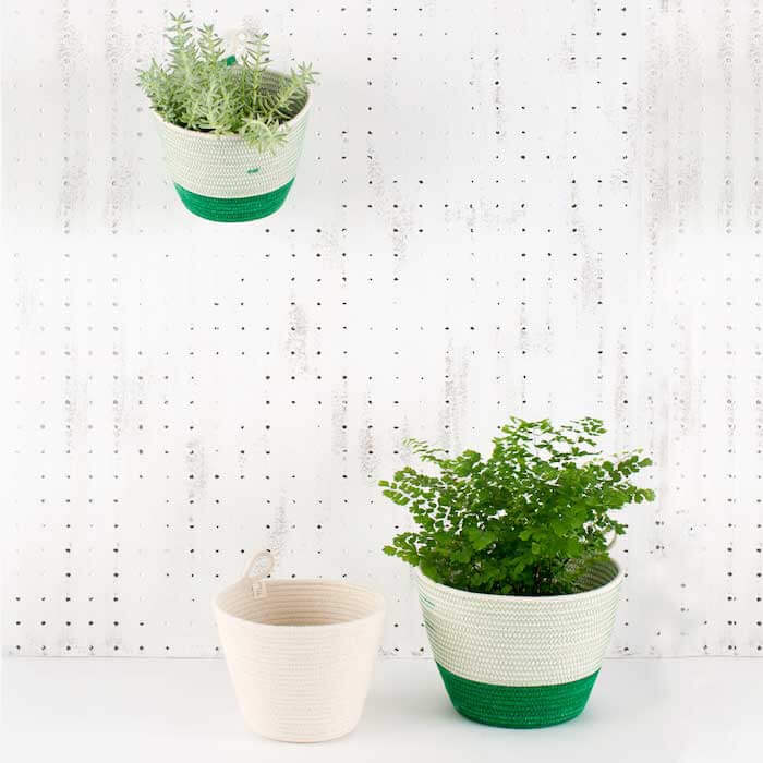 Planter Greenery