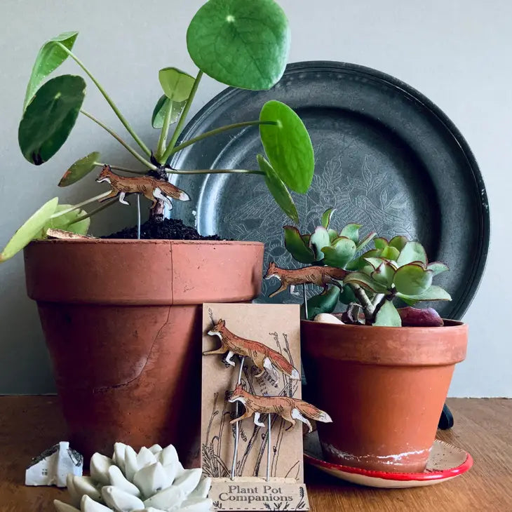 Compagnons de pots de fleurs