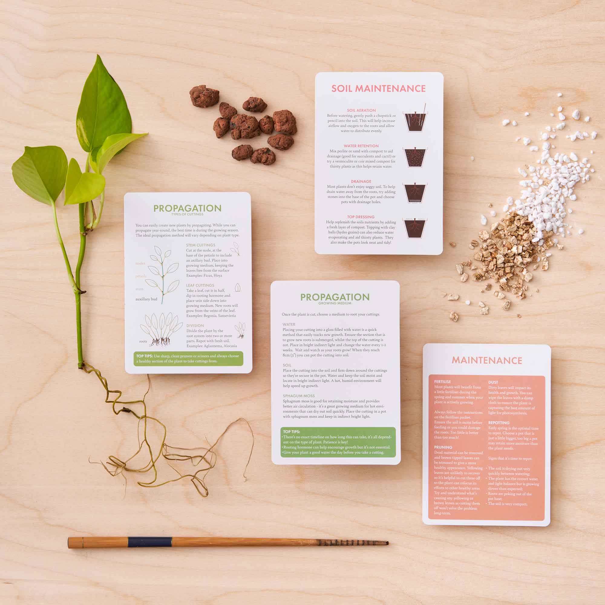 Houseplant Care Cards - Cartes de soins pour les plantes d'intérieur