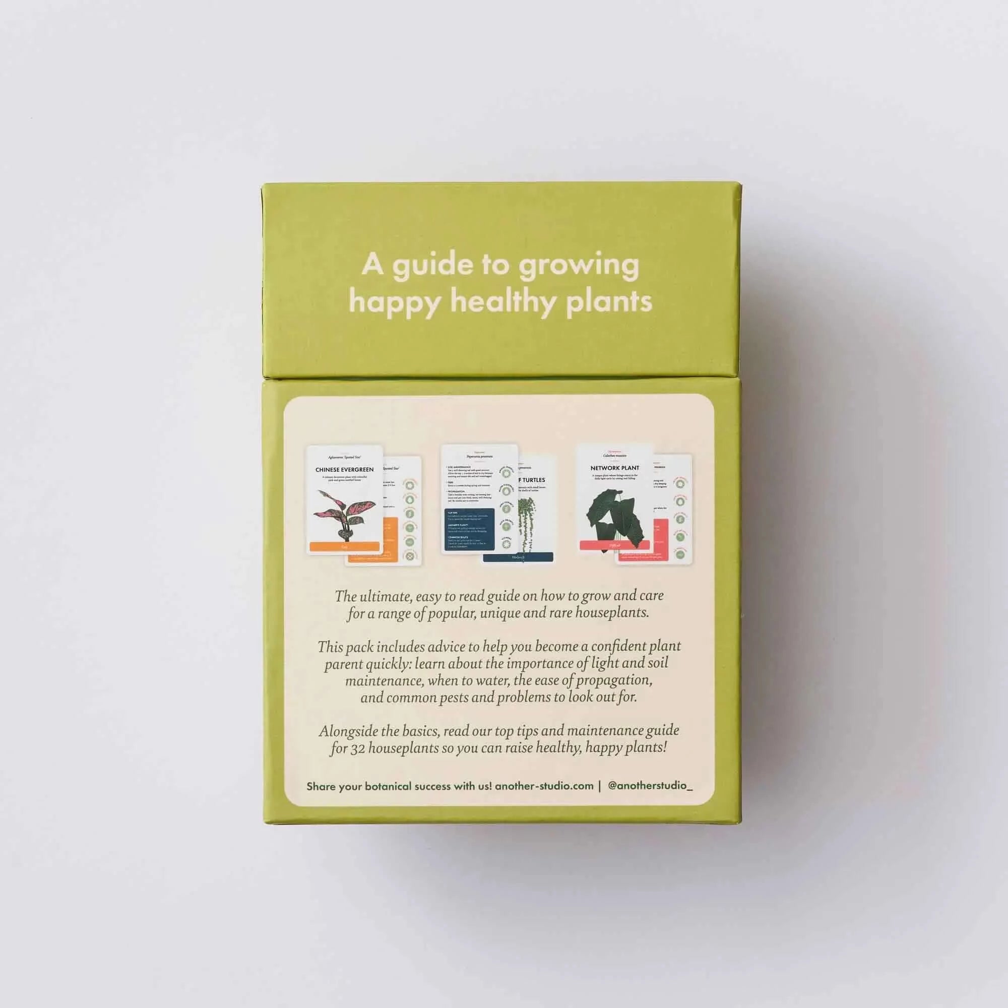 Houseplant Care Cards - Cartes de soins pour les plantes d'intérieur