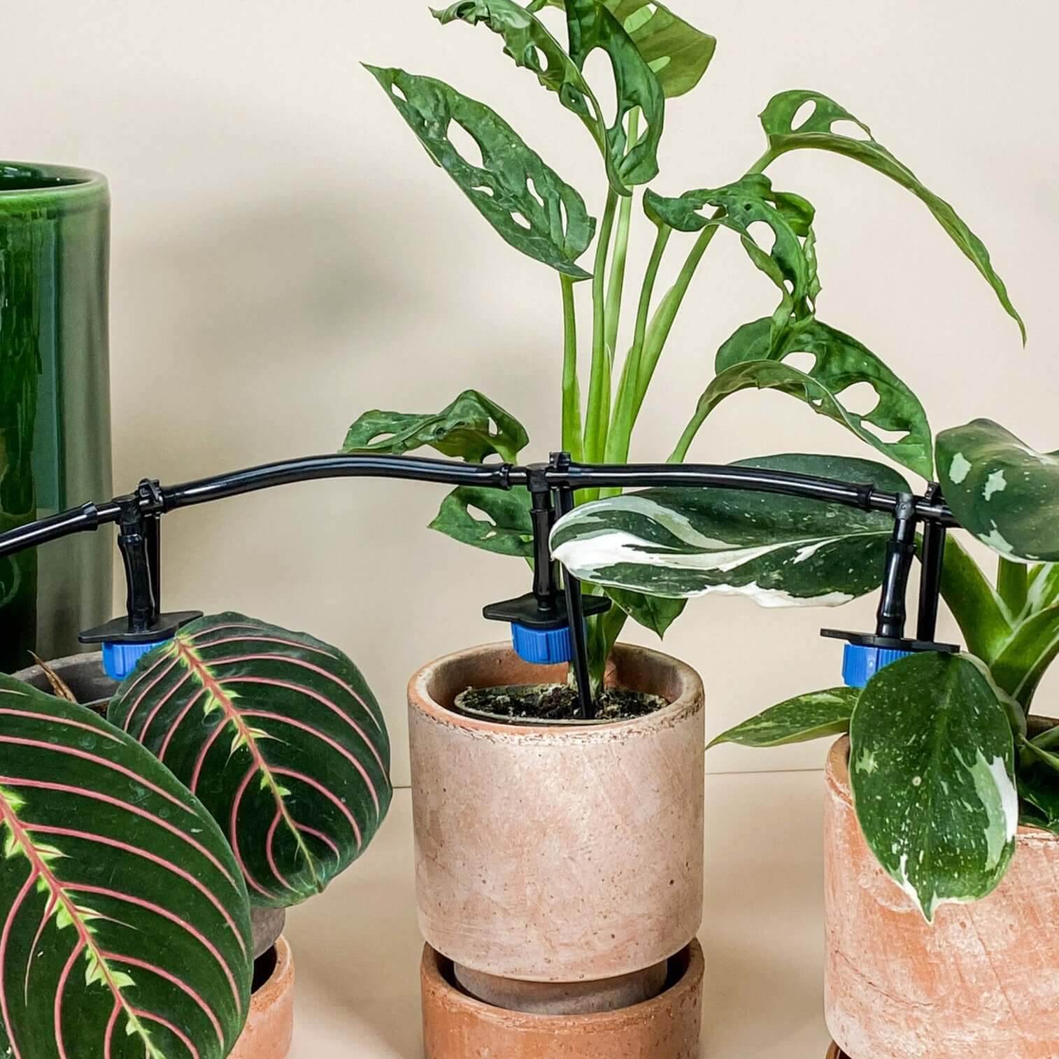 Système d'arrosage automatique pour plantes d'intérieur
