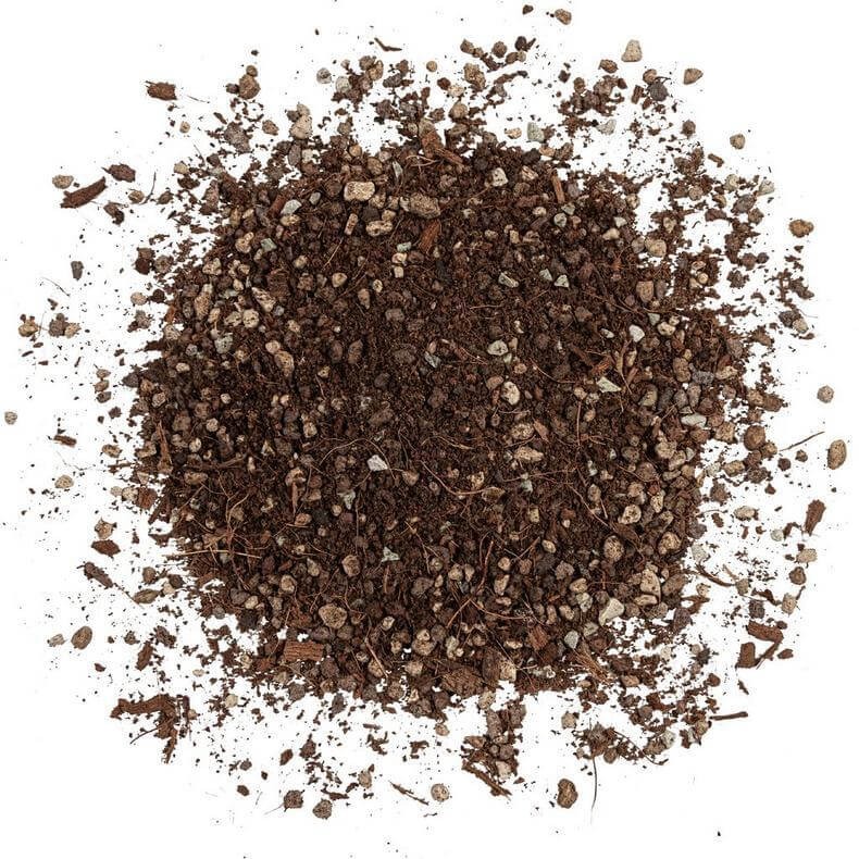 LECHUZA-PON Substrat pour plantes VEGGIEPON