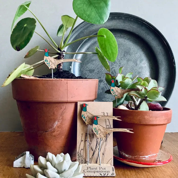 Compagnons de pots de fleurs