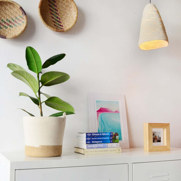 Planter Juteblock