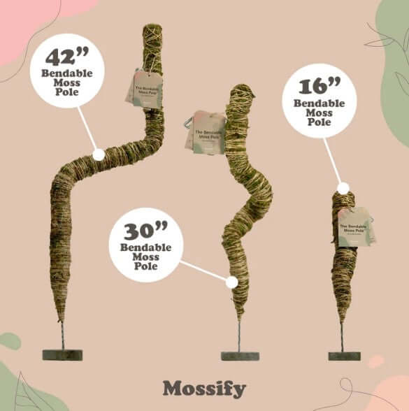 Mossify The Bendable Moss Pole