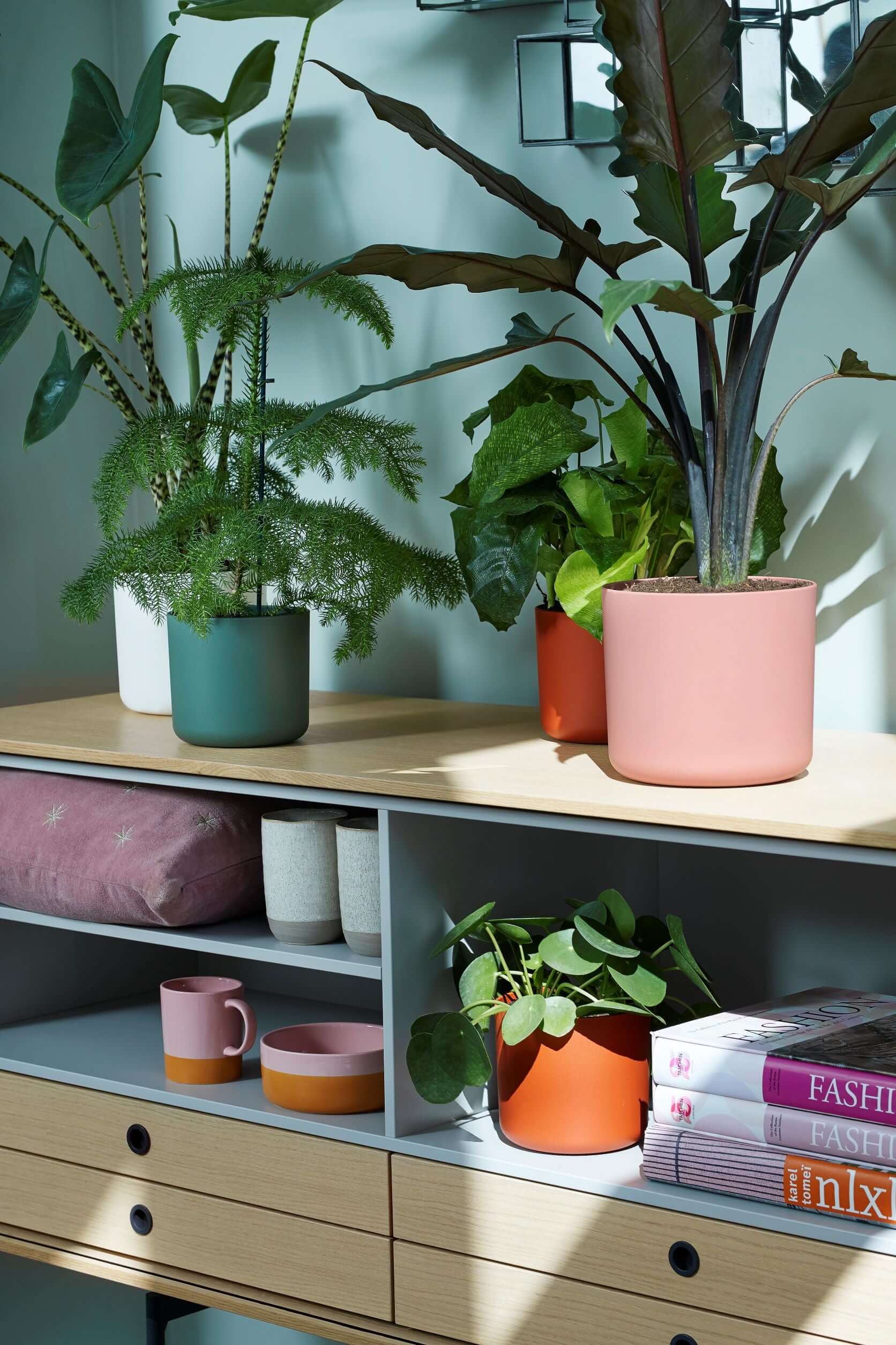 Pot pour plantes b.for soft round Ø 14 cm