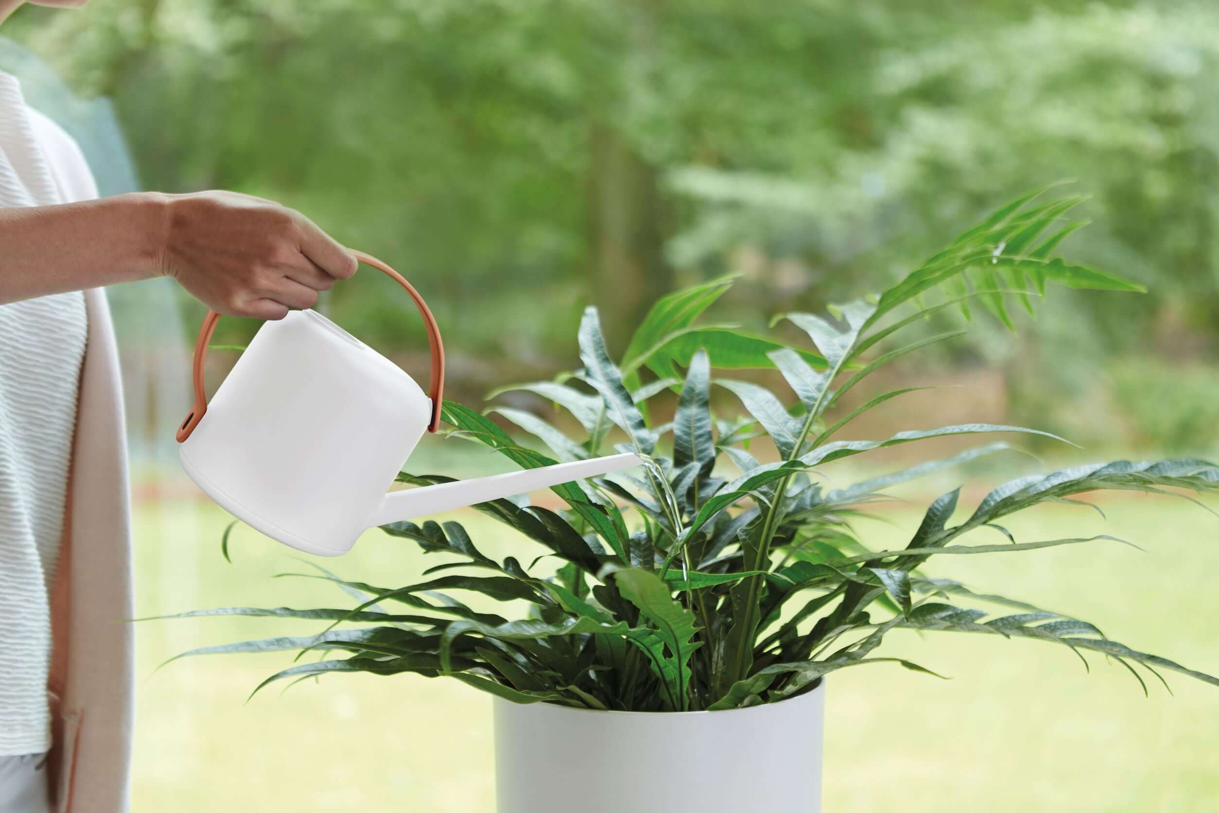 Watering can b.for soft 1.7 l