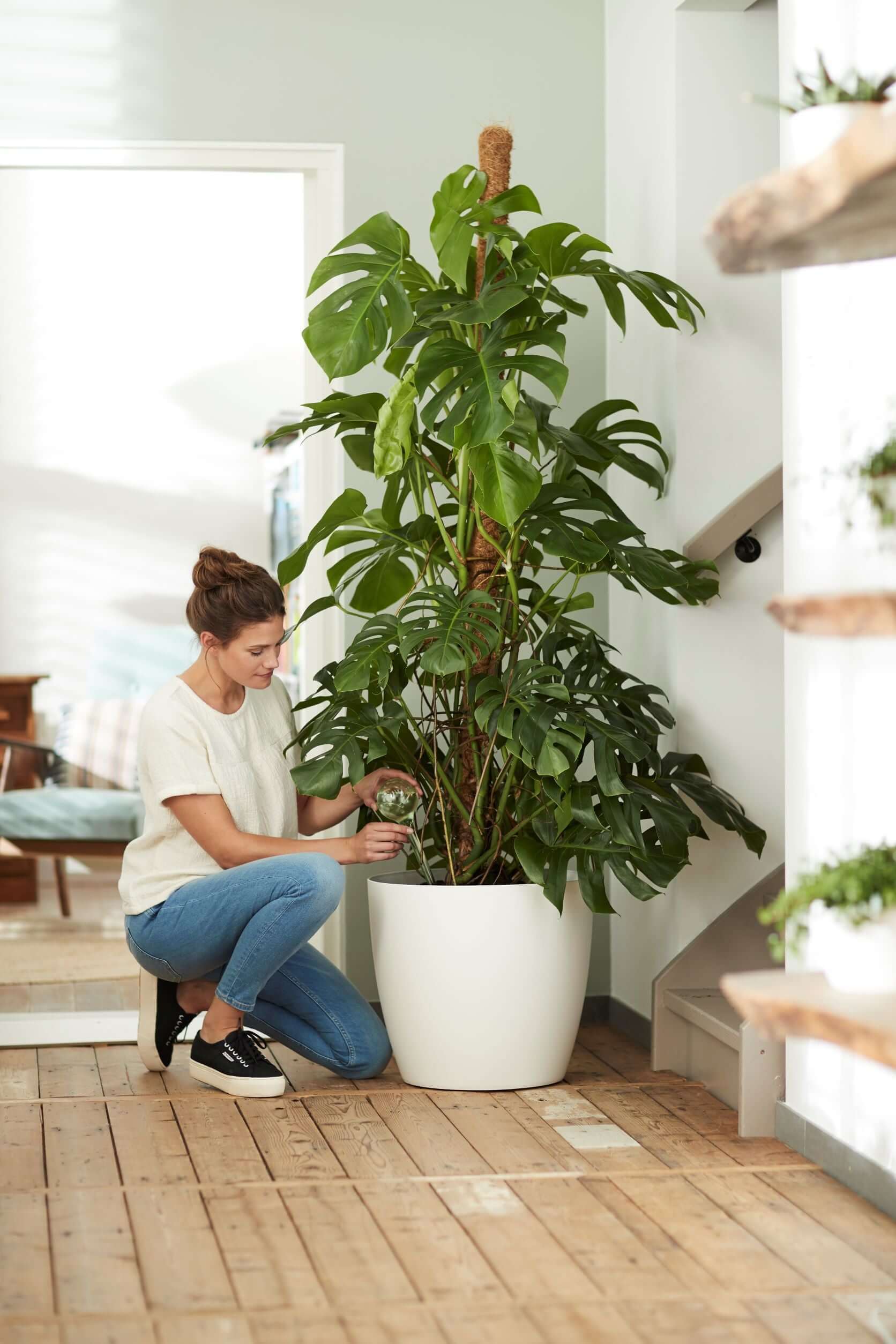 Pot à plantes Brussel round wheels Ø 35 cm