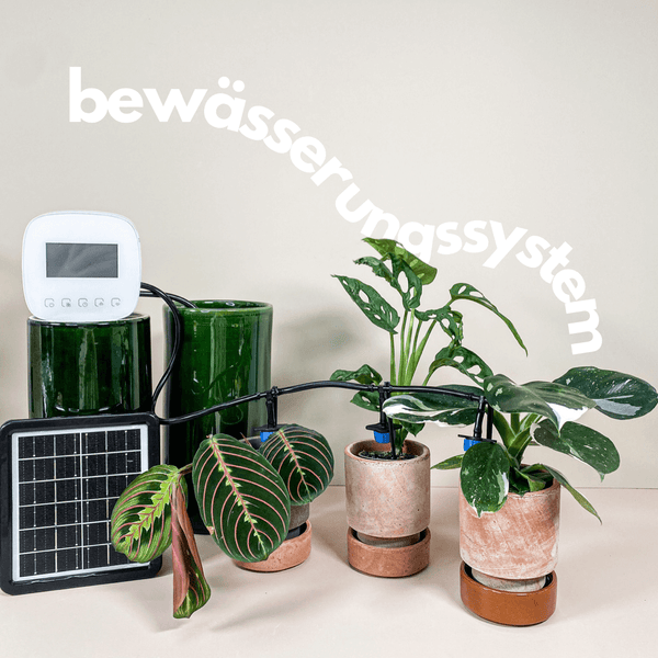 Automatic watering system for houseplants